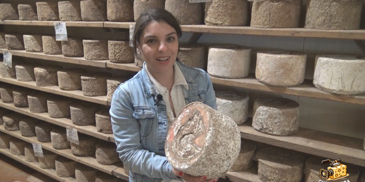 Castelmagno DOP