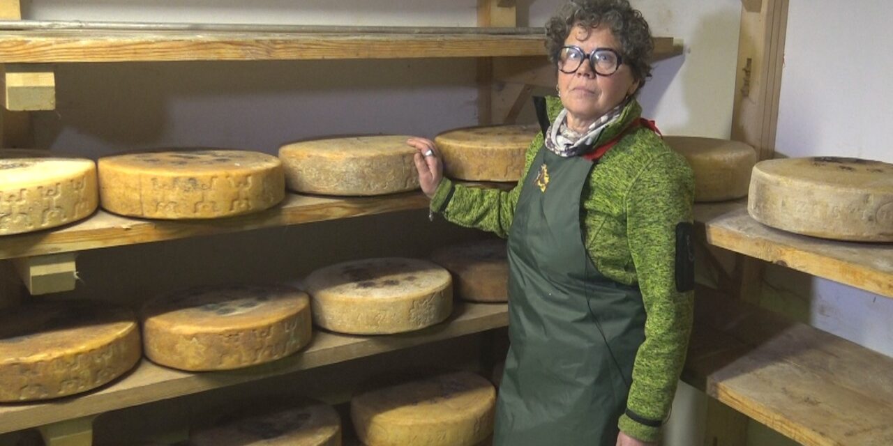 GRANDI FORMAGGI: il Silter prodotto dalla Società Agricola Prestello delle sorelle Bettoni