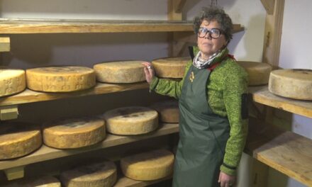 GRANDI FORMAGGI: il Silter prodotto dalla Società Agricola Prestello delle sorelle Bettoni