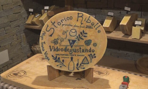 GRANDI FORMAGGI. Paolo Ciapparelli ci racconta la storia dello Storico Ribelle. Seconda parte