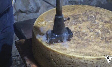 LE VIE DEI CASARI: il BRE’ presentato da Matteo Corani dell’Associazione dei Produttori Bré.