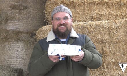 GRANDI FORMAGGI: Sandro Gallina ed il Blu di Cuneo. Seconda puntata: il formaggio Blu di Cuneo