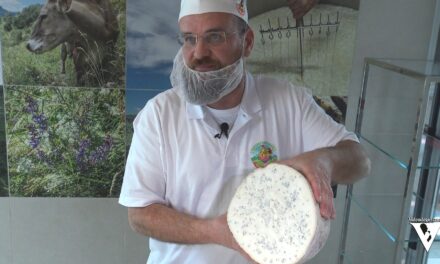 GRANDI FORMAGGI: Sandro Gallina ed il Blu di Cuneo. Prima puntata di due: l’Azienda Gallina Golosa