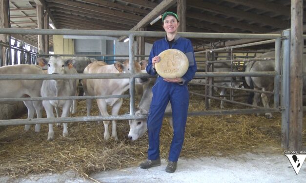 GRANDI FORMAGGI: il Nostrale d’Alpe della casara Roberta Colombero. Secondo episodio: il formaggio.