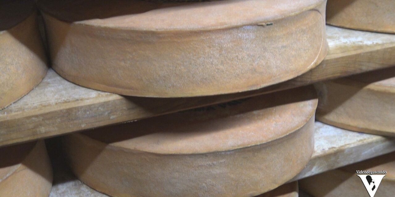 LE VIE DEI CASARI: la FONTINA DOP della Famiglia Quinson