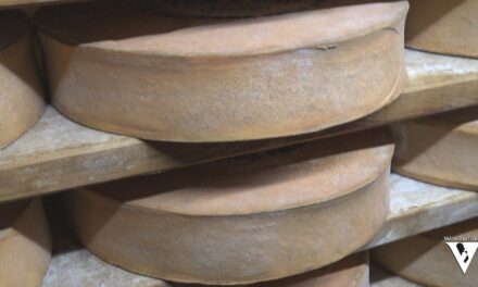 LE VIE DEI CASARI: la FONTINA DOP della Famiglia Quinson