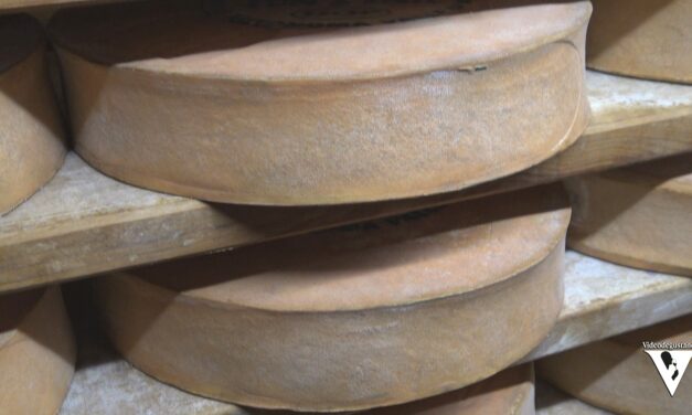 LE VIE DEI CASARI: la FONTINA DOP della Famiglia Quinson