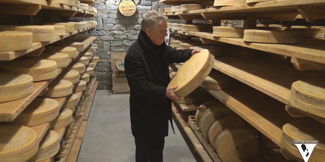 LE VIE DEI CASARI: lo STORICO RIBELLE di Paolo Ciapparelli