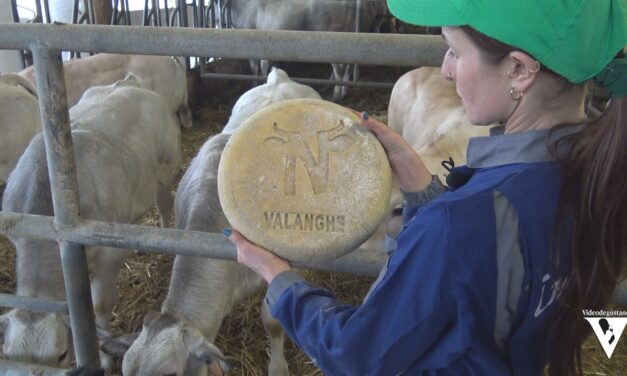LE VIE DEI CASARI: Il NOSTRALE prodotto da Roberta Colombero, Azienda Agricola Colombero.