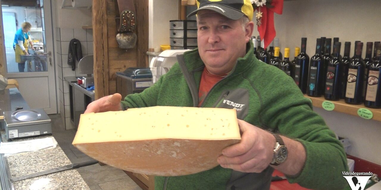 La Fontina DOP della famiglia Quinson di Morgex. Parte 1