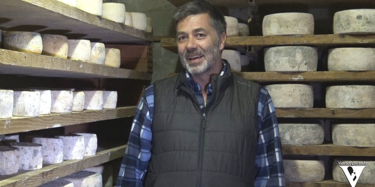 LE VIE DEI CASARI: il FORMAGGIO DOLCE DI PECORA di Daniele Morzenti