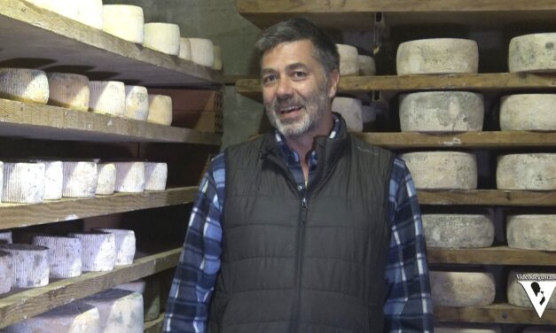 LE VIE DEI CASARI: il FORMAGGIO DOLCE DI PECORA di Daniele Morzenti