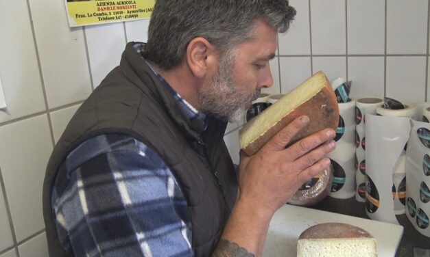Il formaggio Dolce di Pecora prodotto da Daniele Morzenti