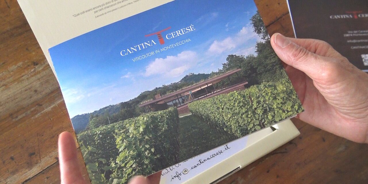 Azienda Agricola Il Ceresé: l’allevamento di capre circondato dai vigneti