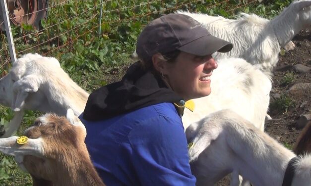 Dove nasce lo Storico Ribelle: Alpeggio Trona Vaga di Erica Mazzola