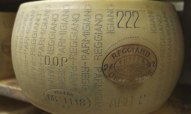 Dal Foraggio al Formaggio: La qualità totale del Parmigiano Reggiano del Caseificio Dall’Aglio Farm