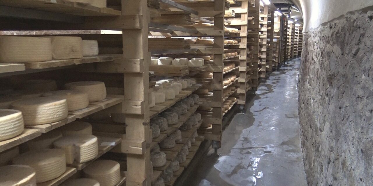 Ep. 2/4 | Maison Mons: Il Tunnel de la Collonge ad Ambierle, un caveau naturale