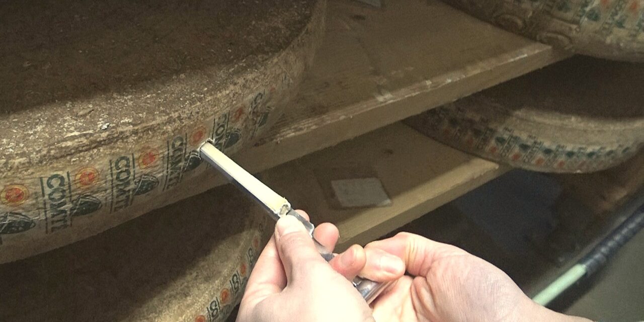 Ep. 4/4 | Maison Mons: I formaggi stagionati nel Tunnel de la Collonge (Parte 2)